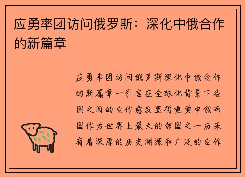 应勇率团访问俄罗斯：深化中俄合作的新篇章